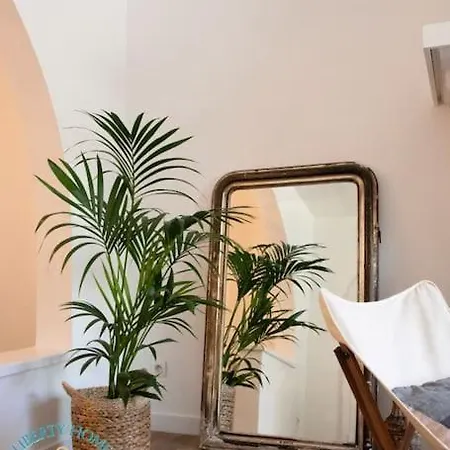 Le 17m - Maison Basque D'occitanie Clim Jardin Parking Villa Castelginest